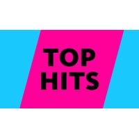 1LIVE Top Hits logo