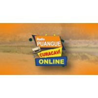Radio puangue logo
