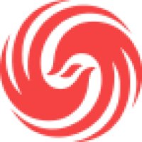 凤凰卫视中文台 logo