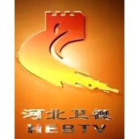 河北卫视伴音 logo