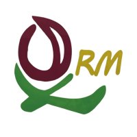 深州综合频率FM106.9 logo