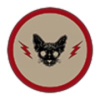 Black Cat Radio logo