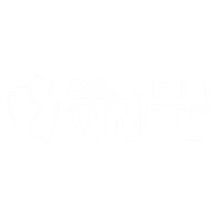 WDVR logo