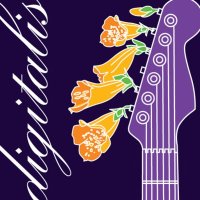 SomaFM Digitalis (128k AAC) logo