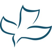 CSN International logo