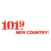 101.9 The Bull logo