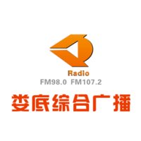 娄底综合广播 logo