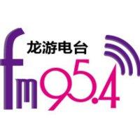 龙游人民广播电台FM95.4 logo