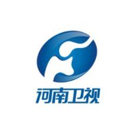 河南卫视伴音 logo