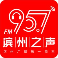 滨州综合广播 logo