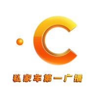 浙江城市之声 logo