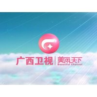 广西卫视伴音 logo