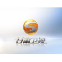 甘肃卫视伴音 logo