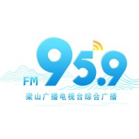 梁山广播电视台综合广播 logo