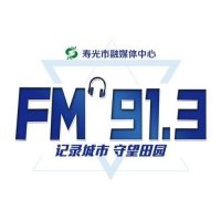 寿光广播电视台 logo