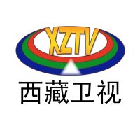 西藏卫视伴音 logo
