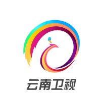 云南卫视伴音 logo