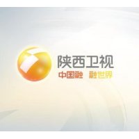 陕西卫视伴音 logo