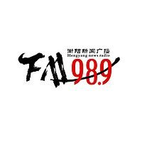 衡阳综合广播 logo
