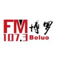 博罗综合广播 logo