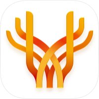 双阳综合广播 logo