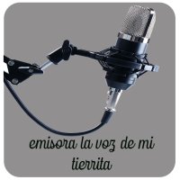 La voz de mi tierrita 94.1 FM logo