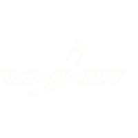 FM CONDOR 98.7 logo