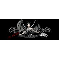 Radio Dunkle Welle logo