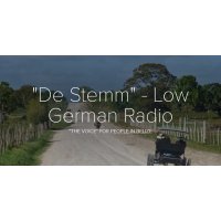 De Stemm Radio logo