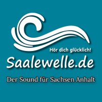 Saalewelle logo