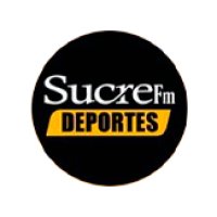 Play FM 95.3 logo
