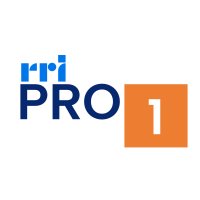 RRI Pro 1 Jakarta 91.2 FM logo