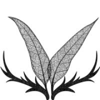 Phaune radio logo