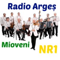 Argeș Mioveni NR1 logo