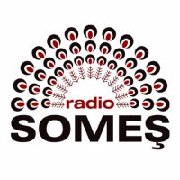 Radio Someș -Bistrița 96,6 FM logo