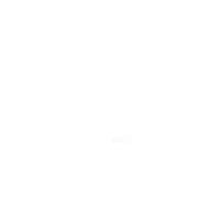 Playloud logo