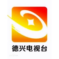 德兴之声国际广播 DeXing International logo