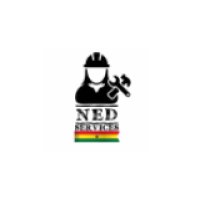 Radio NED logo