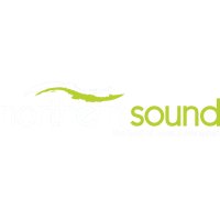 Northern Sound logo