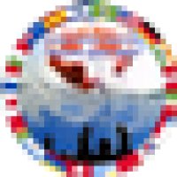PIONEIRA ONLINE logo