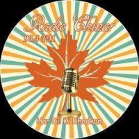 Radio Chinar 90.4FM logo