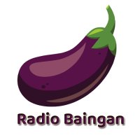 Radio baigan logo
