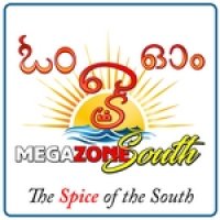 megazonesouth logo