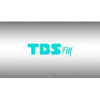 TBS FM 95.1 logo