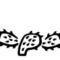 Nopal A logo