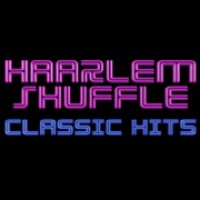Haarlem Shuffle FLAC logo