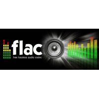Hi On Line Radio - Flac logo