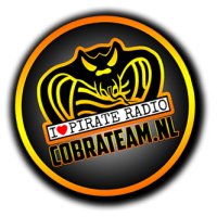 Cobra Team logo