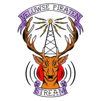 Nunspeets Piraten Team logo