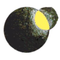 ORBITAL logo